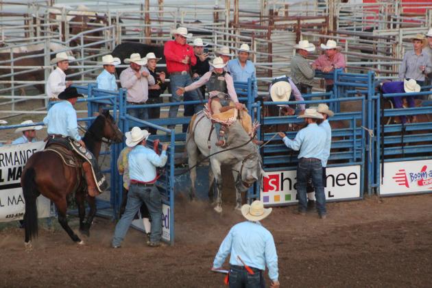 IFYR 2022