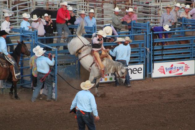 IFYR 2022