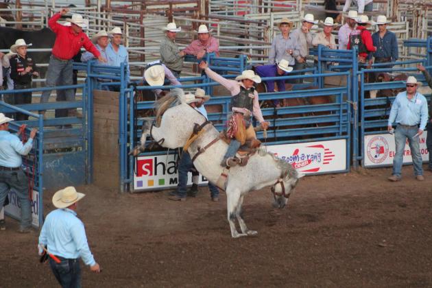 IFYR 2022