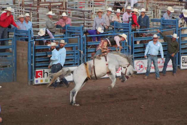 IFYR 2022