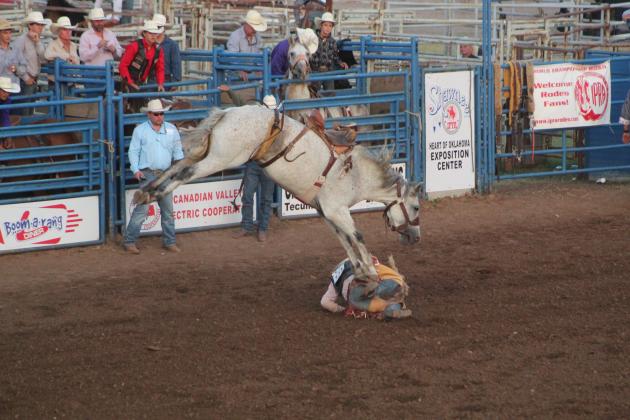 IFYR 2022