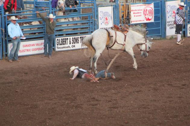 IFYR 2022