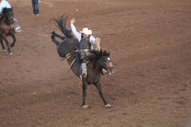 IFYR 2022