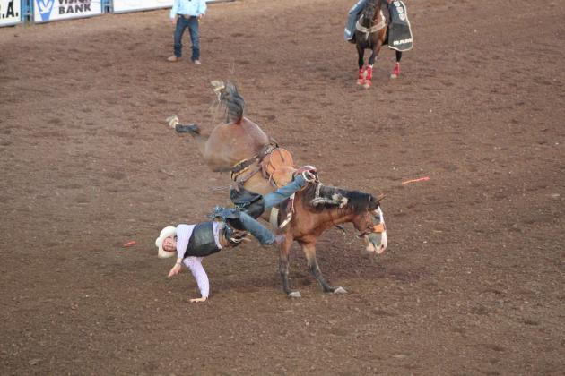 IFYR 2022