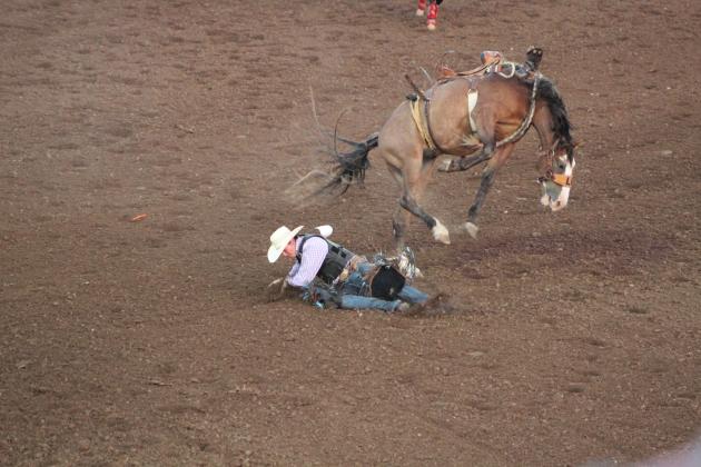 IFYR 2022