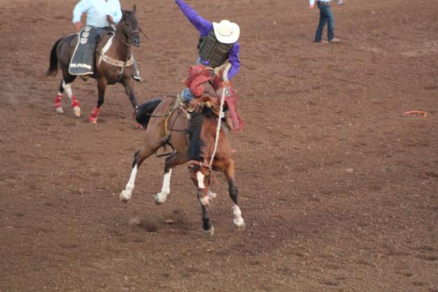 IFYR 2022