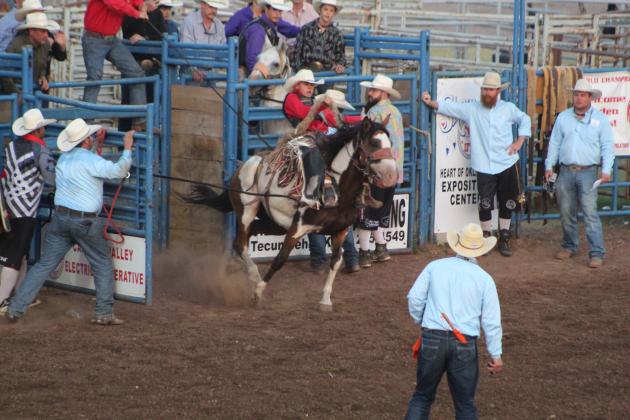 IFYR 2022