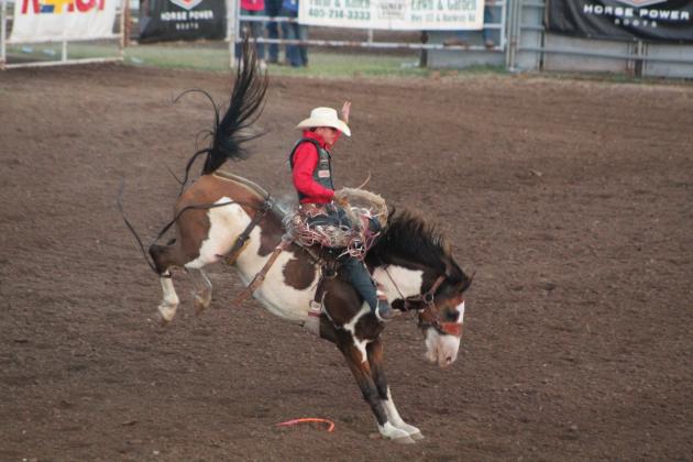 IFYR 2022