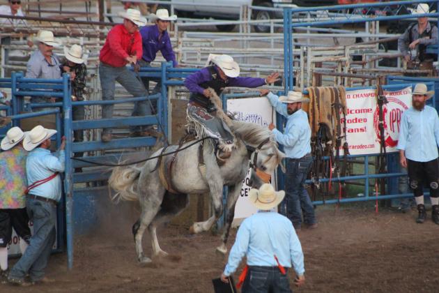 IFYR 2022