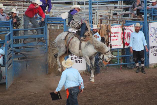 IFYR 2022