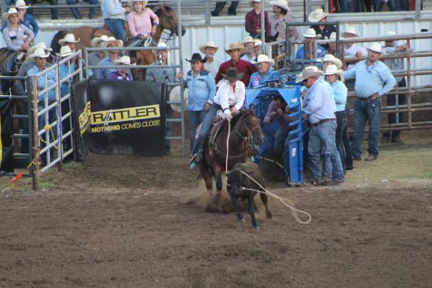 IFYR 2022