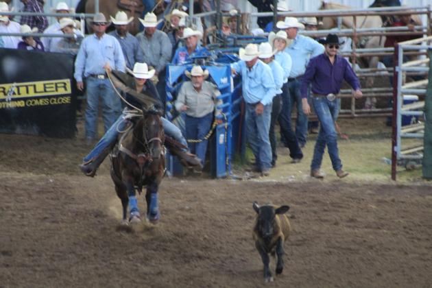 IFYR 2022