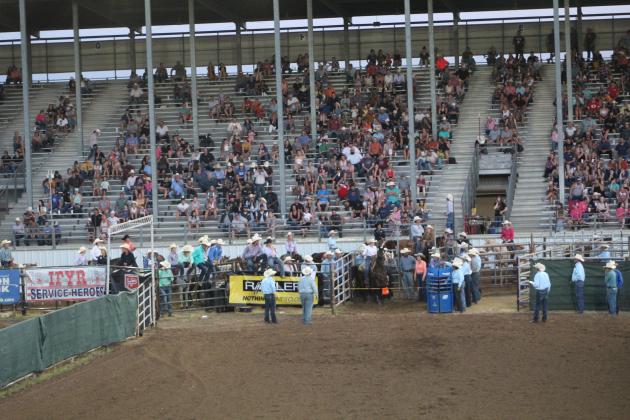 IFYR Personnel/Volunteers