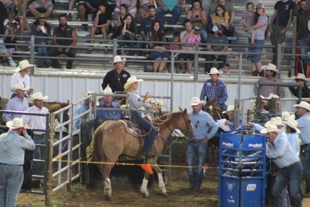 IFYR 2022