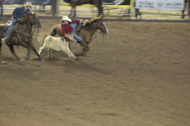 IFYR 2022