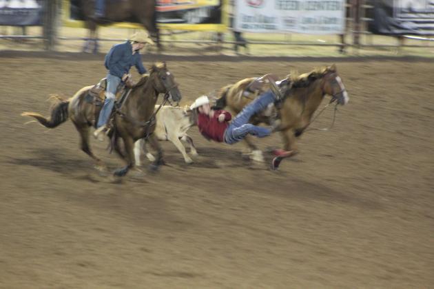 IFYR 2022