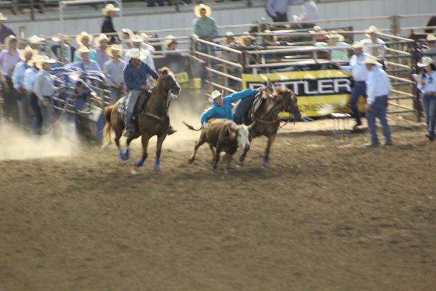 IFYR 2022