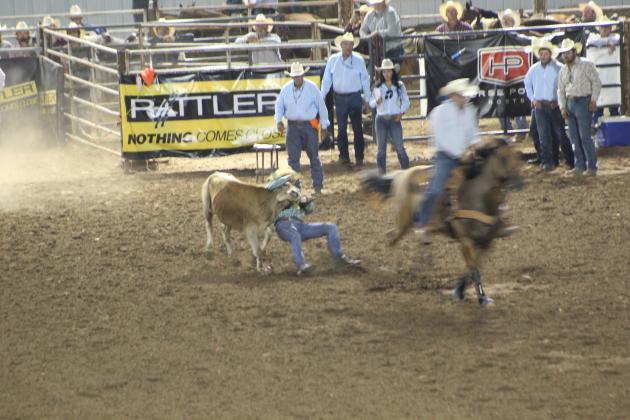 IFYR 2022