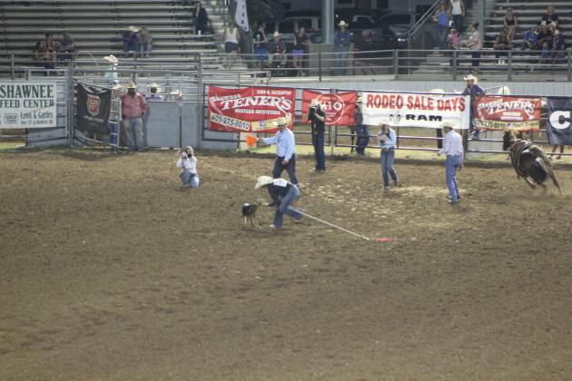 IFYR 2022