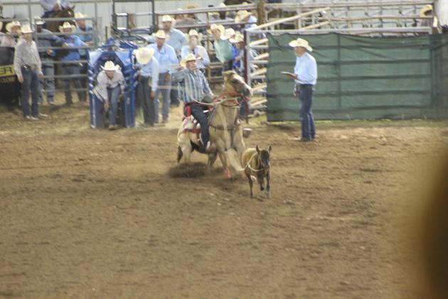 IFYR 2022