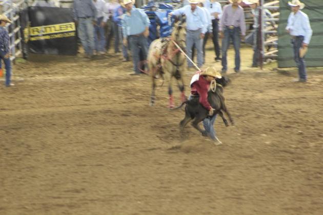 IFYR 2022