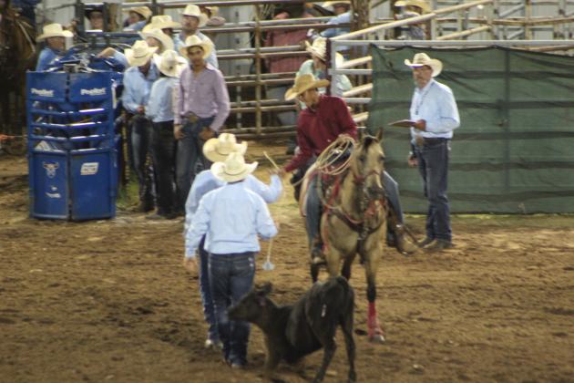 IFYR 2022