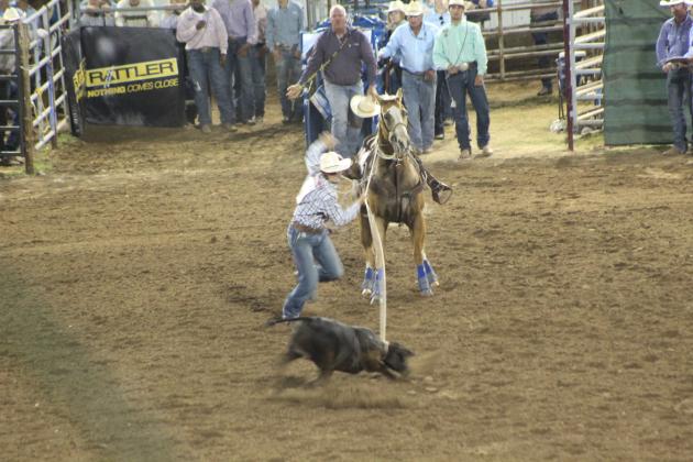IFYR 2022