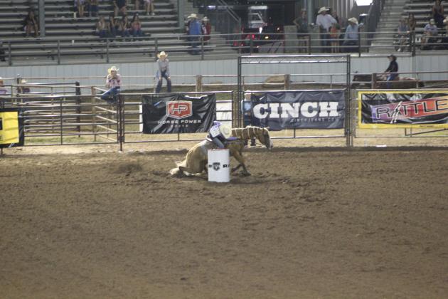 IFYR 2022
