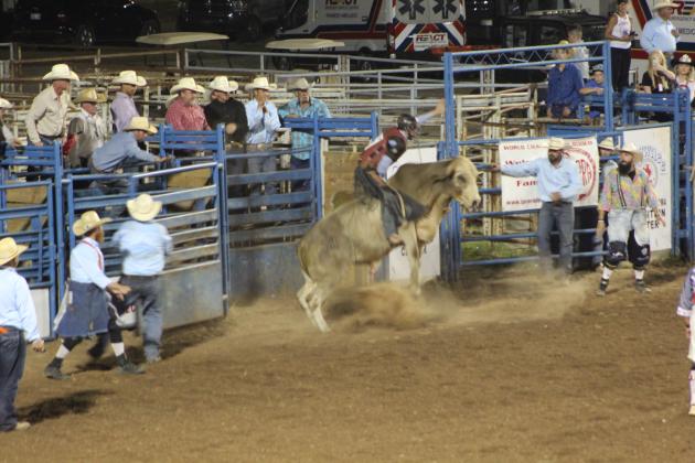 IFYR 2022