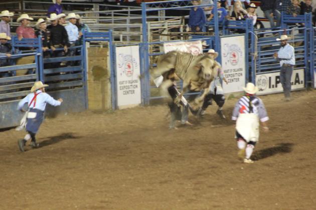 IFYR 2022