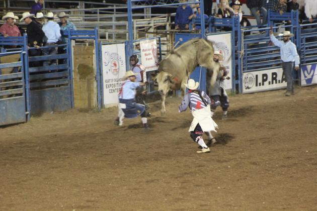 IFYR Personnel/Volunteers