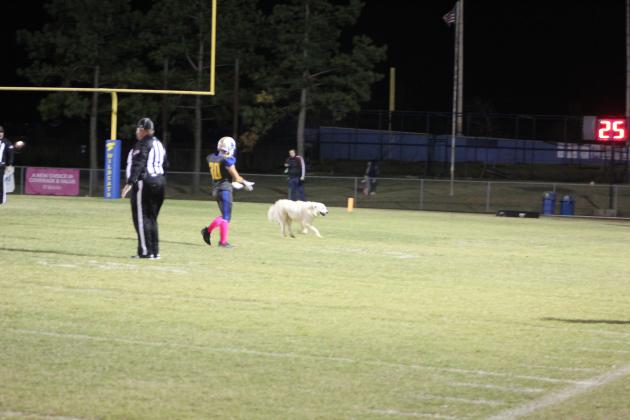 Luna runs across the football field during Senior Night on Oct. 28, 2021. Countywide &amp; Sun/Natasha Dunagan