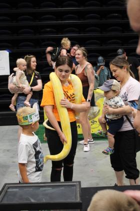 Volunteer Emma Wells carries an albino python around her neck for children to pet.
