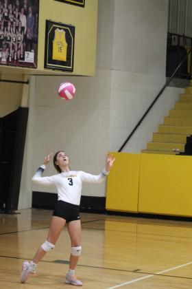 Tecumseh junior Rhylee Nadeau serves during the home game against Seminole on Aug. 18. Countywide &amp; Sun/Natasha Dunagan