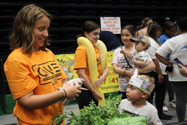 Volunteer Laura Wells holds an albino king snake and her daughter, Emma Wells, carries an albino python for kids to learn about at the Pitt Stop Extreme Animals Petting Zoo during the Outdoor Nation Expo on Aug. 13 at FireLake Arena. Countywide &amp; Sun/Natasha Dunagan