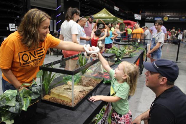 Laura Wells offers an albino king snake for a girl to pet.