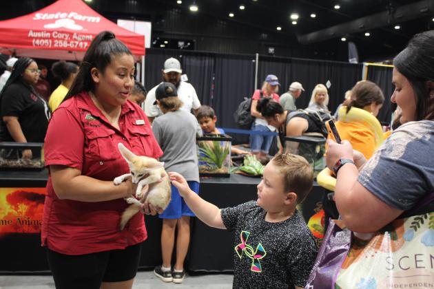 Alondra Martinez, of Extreme Animals, holds Boomer the African fennec fox kit as a boy pets him at the Pitt Stop Extreme Animals Petting Zoo during the Outdoor Nation Expo on Aug. 13 at FireLake Arena. Countywide &amp; Sun/Natasha Dunagan