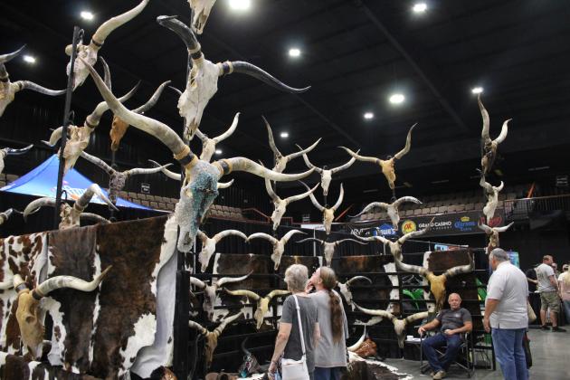 Marty Ross, of Crazy Bull Longhorn in Webbers Falls, brought more than 70 African Watusi bull skulls for his booth at the Outdoor Nation Expo.
