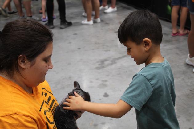 Volunteer Kylee Richey holds a Chinchilla for Daxton Parris, 4, of Harrah, to pet.