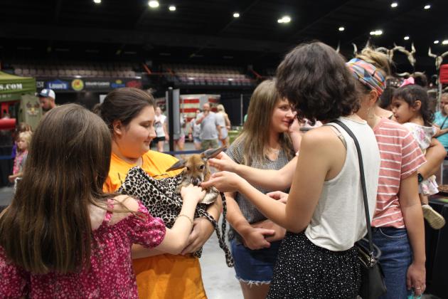 Volunteer Kylee Richey holds Sheila the 10-month-old kangaroo joey for everyone to pet.
