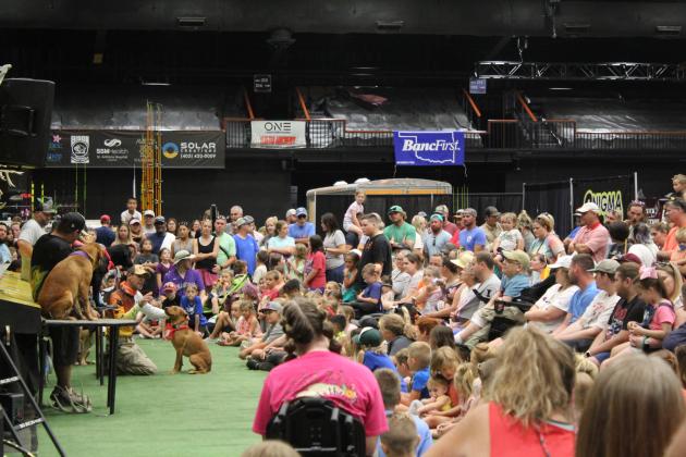 Fetch n' Fish Dog Show