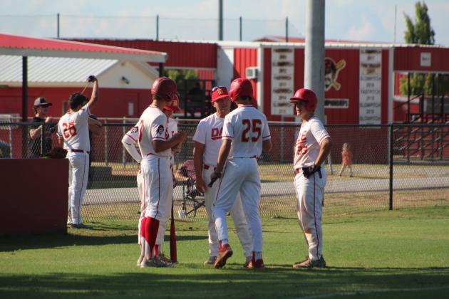 Dale Baseball Pirates