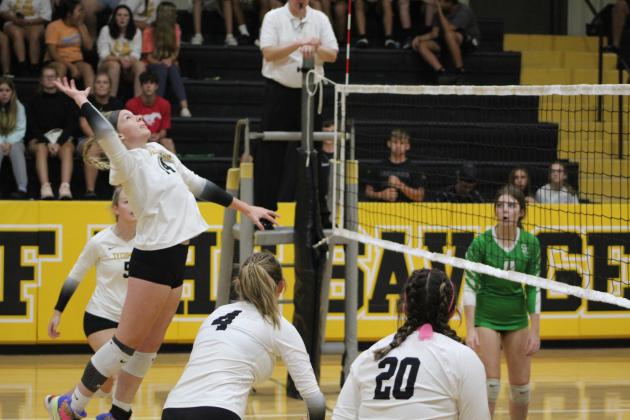Tecumseh senior Koree Thompson watches the ball before returning it over the net during the home game against Seminole on Aug. 18. The Lady Savages won all three of their matches: 25-19, 25-14, and 25-11. Countywide &amp; Sun/Natasha Dunagan
