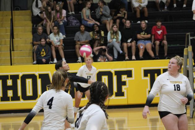 Libero, Jalee Meyers