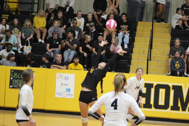 Libero, Jalee Meyers