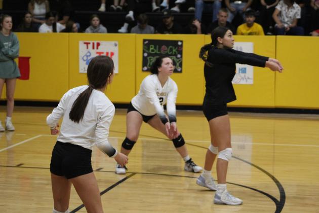 Libero, Jalee Meyers