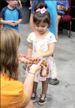 Esmee Pineda, 3, of OKC, pets a corn snake held by volunteer Laura Wells at the Pitt Stop Extreme Animals Petting Zoo during the Outdoor Nation Expo on Aug. 13 at FireLake Arena. Countywide &amp; Sun/Natasha Dunagan