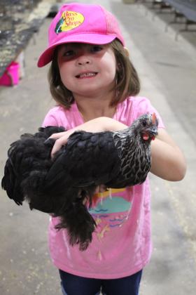 Magnolia McClure, 6, daughter of Danie and Stormy McClure, poses with her Cochin Bantam chicken after winning a blue ribbon at the Pottawatomie County Free Fair on Sept. 10. This is her second year to compete. Countywide &amp; Sun/Natasha Dunagan
