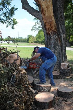 Principal Randy Dilbeck works to cut up and remove a branch from a century-old pecan tree on the high school grounds.