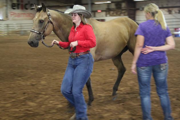 Megyn Alls, of Tecumseh 4-H, comes to a stop after trotting her horse in the 4-H &amp; FFA Horse Show at the Pottawatomie County Free Fair on Sept. 8. Alls' horse won a Showmanship Buckle in the Senior Class and Grand Champion Gelding. Countywide &amp; Sun/Natasha Dunagan
